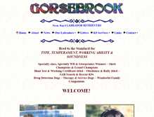 Tablet Screenshot of gorsebrook.net